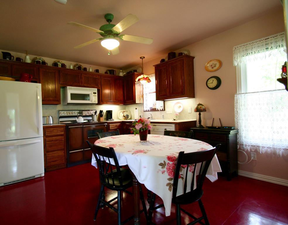 Onion Creek Cottage オースティン エクステリア 写真